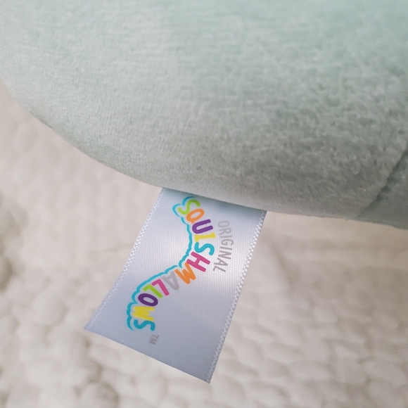 Fritz the Frog with Flower Belly Squishmallows BNWT 8 Inch - Picture 4 of 6